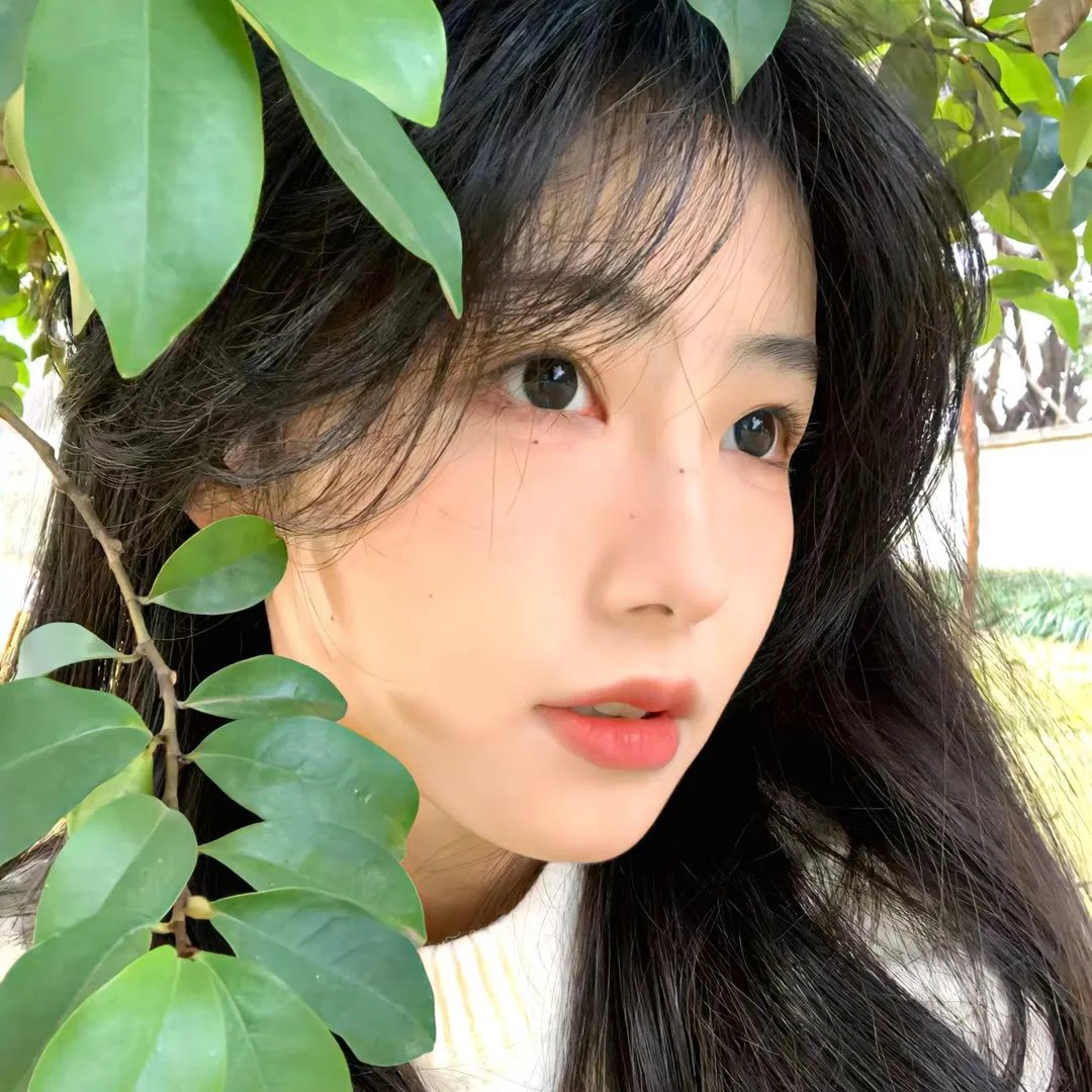 追爱谎言